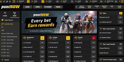 PuntNow Review 2024 .